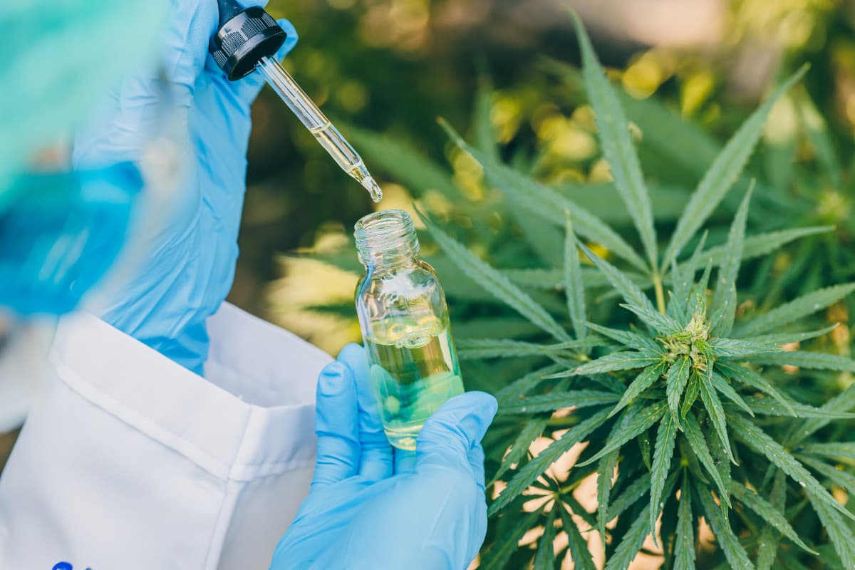 Scientifique en train de tester de l'huile de CBD